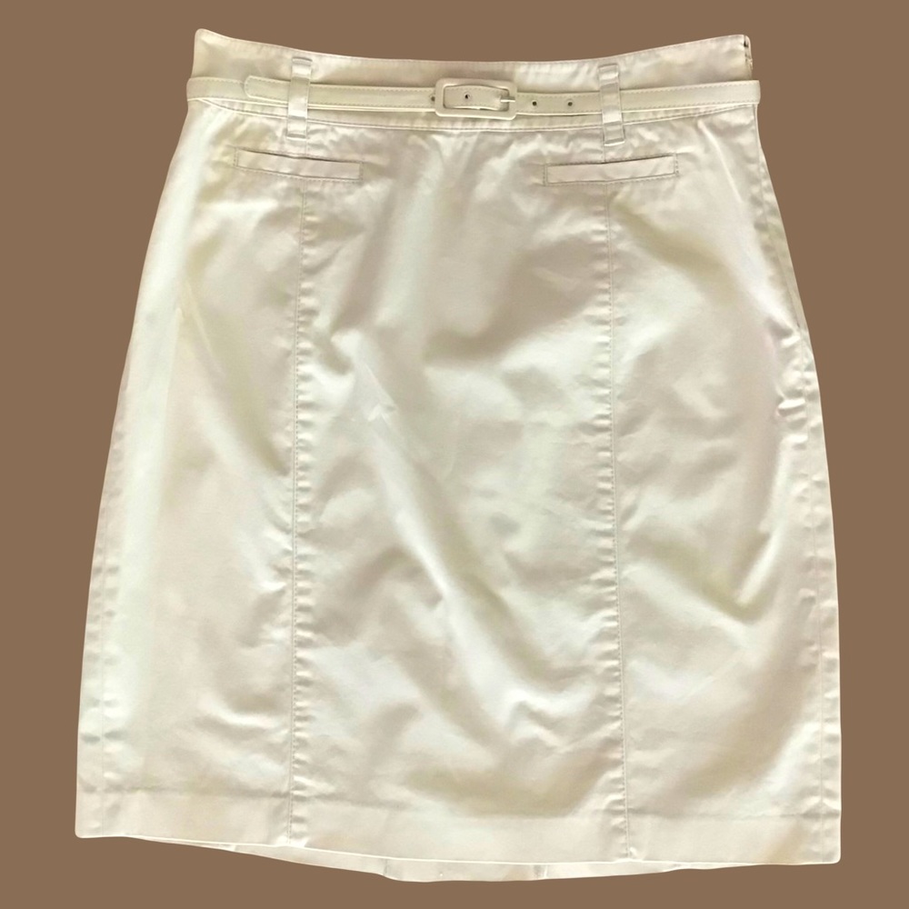Ann Taylor Skirt